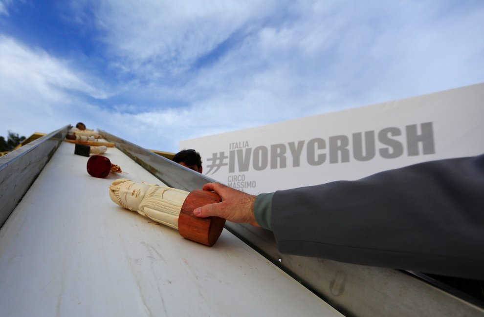 IVORY CRUSH ROMA