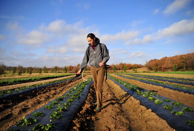 agricoltura sociale