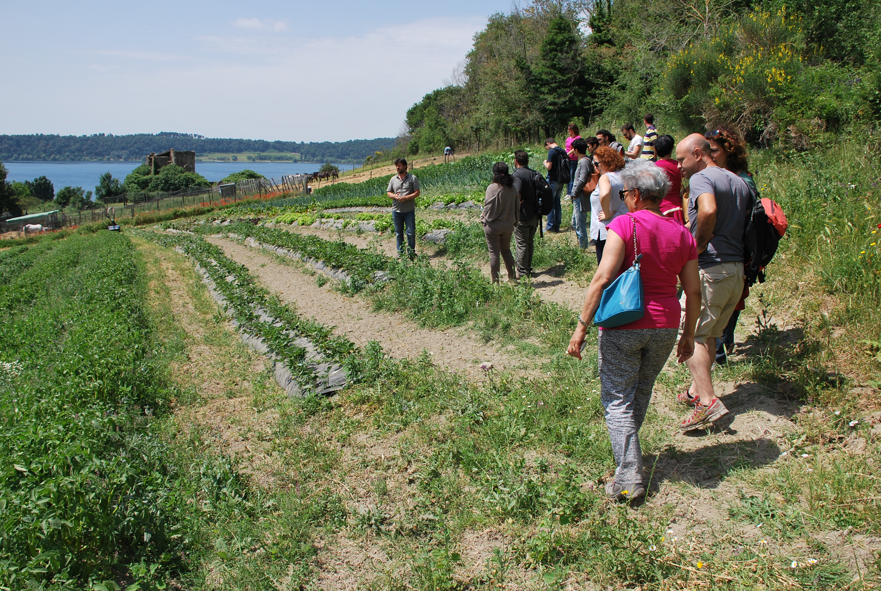 Agricoltura sociale