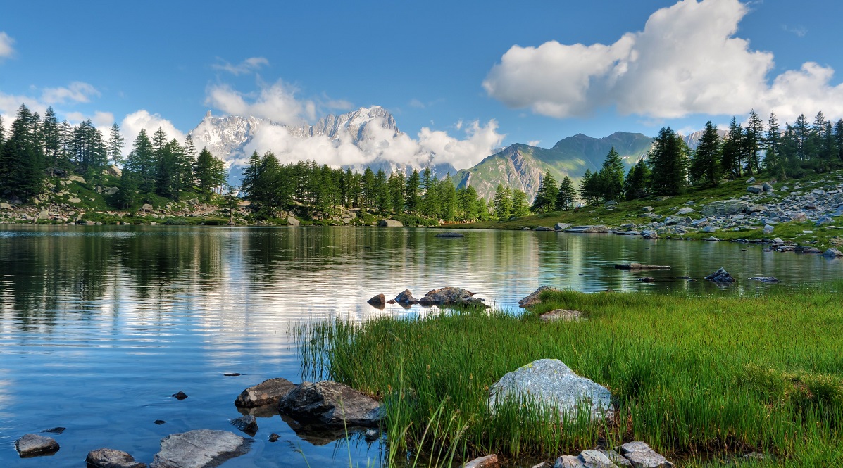 bandiere verdi montagna