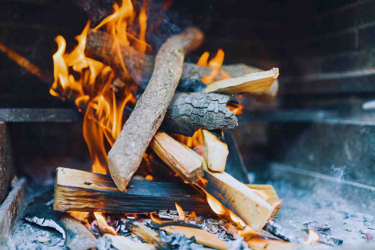 vari tipi di legno da camino