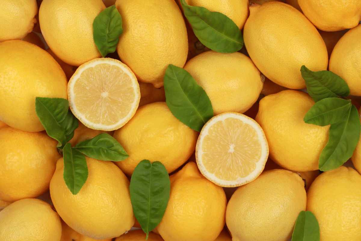 limoni uso